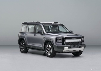 2026款哈弗猛龙PLUS 191km 基本型 官图