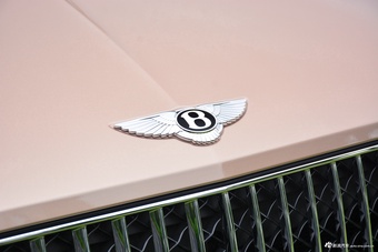 2023款添越 4.0T V8 长轴距雅度版