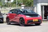 2023款海豚 50万纪念版Pro