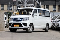 2023款睿行EM80 EV 平顶背掀门7座