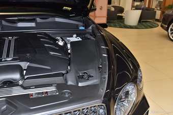 2024款添越 4.0T V8 雅度版