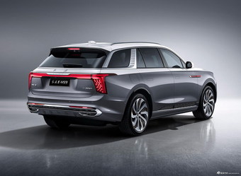 2020款红旗E-HS9 基本型