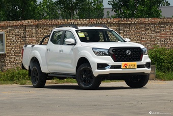 2026款锐骐6 pro 进阶版 2.3T 自动四驱柴油豪华版长货箱