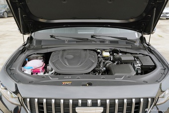 2025款星瑞 东方曜 2.0TD 今朝版图片