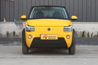 2020款迈迈 大麦版