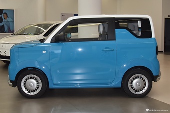 2025款睿蓝蓝气球 标准版