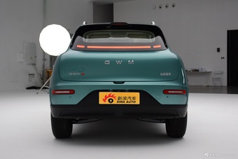 2026款欧拉5 标准款 绿