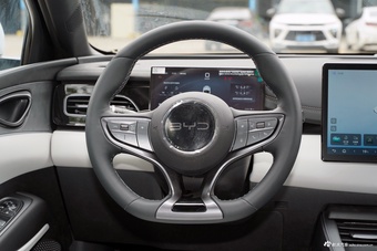 2025款海豹06DM-i 智驾版 120KM尊荣型