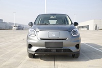 2022款零跑T03 炫晶版