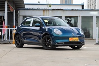 2024款欧拉好猫 401km 舒享型