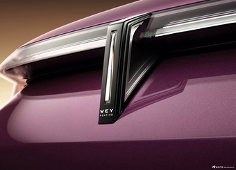 2026款魏牌V9X 基本款 官图