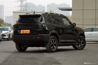 2025款山海T1 147km 四驱发现