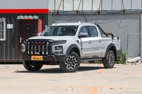 2023款悍途 2.0T 自动柴油两驱精英型大双