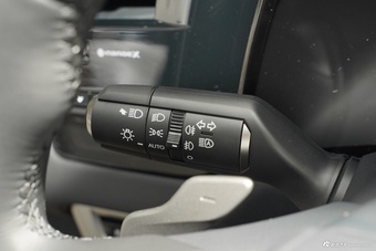 2026款雷克萨斯RX 300 四驱Black Edition