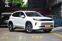 2020款星途LX 1.5T CVT星耀版