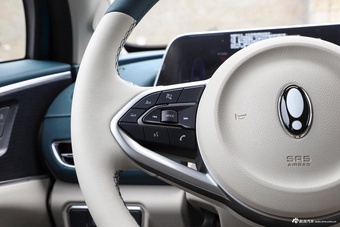 2024款欧拉好猫 401km 舒享型