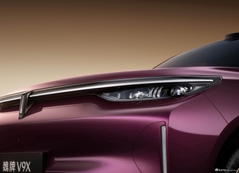 2026款魏牌V9X 基本款 官图