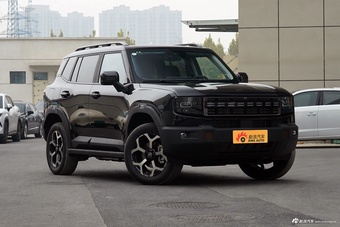 2025款山海T1 147km 四驱发现