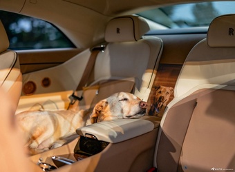 2025款闪灵 贝利