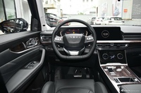 2021款揽月 1.6T自动290T星享版 