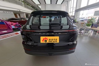 2025款风云T9 120 长续航版尊荣型 5座