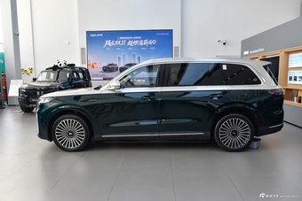 2026款风云T11 220四驱全家乐