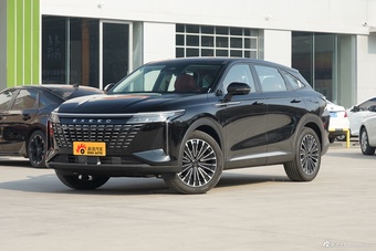 2023款瑶光 400T 四驱尊享版图片