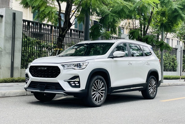 2023款捷途X95 1.6T DCT时代版 7座图片