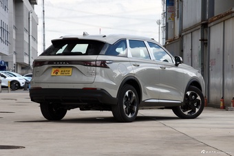 2025款枭龙MAX Hi4 110 Air