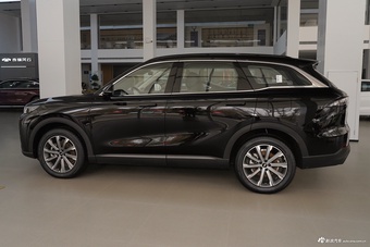 2025款风云T9 120 长续航版尊荣型 7座 磷酸铁锂