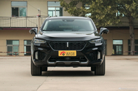 2019款WEY VV7升级版 2.0T自动超豪型国VI 	