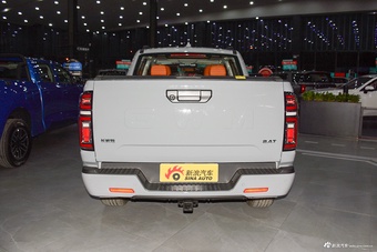 2026款长城炮 2.4T乘用炮自动柴油四驱尊享型