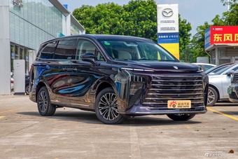 2027款星海V9 200km 尊享型