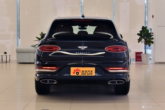 2024款添越 4.0T V8 雅度版