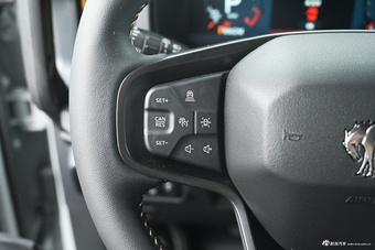2025款福特烈马 2.3T 大沙丘限量定制版