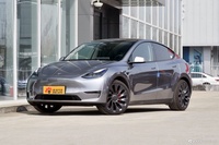 2024款Model Y Performance高性能版