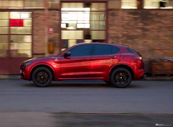 2026款Stelvio斯坦维 Quadrifoglio Collezione 官图