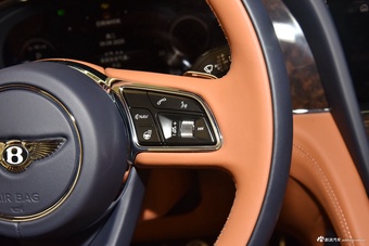 2024款添越 4.0T V8 雅度版