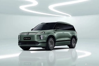 2026款ID. ERA 9X 仙踪绿