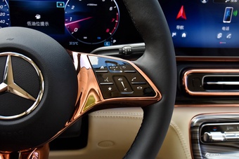 2025款维努斯 2.0T 威赫纪念版