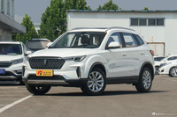  2019款奔腾T33 1.6L手动豪华型国VI