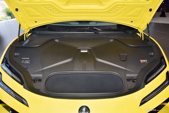 2025款EMEYA 莲花首发限量版图片