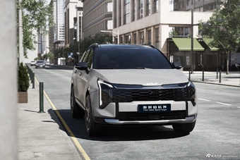 2026款狮铂拓界 官图