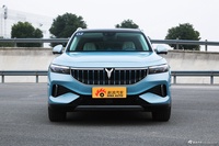 2021款岚图FREE 四驱纯电版专属豪华套装