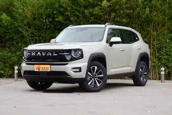2026款哈弗大狗PLUS 2.0T 四驱