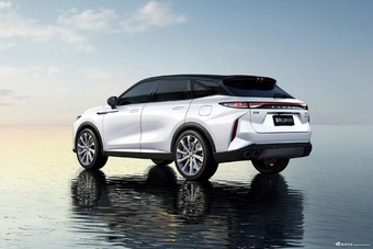 2026款瑶光C-DM 寰球版