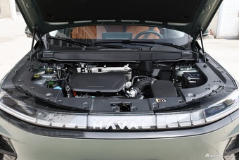 2025款枭龙MAX Hi4 110 Pro图片