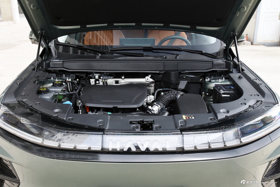 2025款枭龙MAX Hi4 110 Pro