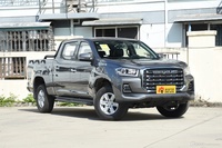 2023款星际L 2.0T 柴油 自动 两驱 长箱 精英版